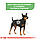 Royal Canin Mini Digestive Care сухий корм для собак дрібних порід з чутливим травленням, 3КГ, фото 3