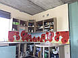 Скляна панель на кухню / Фартух Скиналі Маки, фото 2