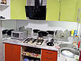Скляна панель для кухні / Скинали / Фартух Орхідеї, фото 2