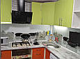 Скляна панель для кухні / Скинали / Фартух Орхідеї, фото 4