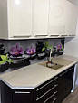 Скляна стінова панель для кухні / Скіналі Орхідеї, фото 6