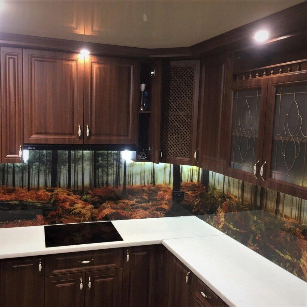 Панно / Панелі для кухні з загартованого скла Осінній ліс, фото 1