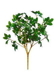 Букетна ніжка з листом на 16 голів, 700 мм