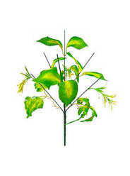 Букетна ніжка з листом на 7 голів, лита, 420 мм