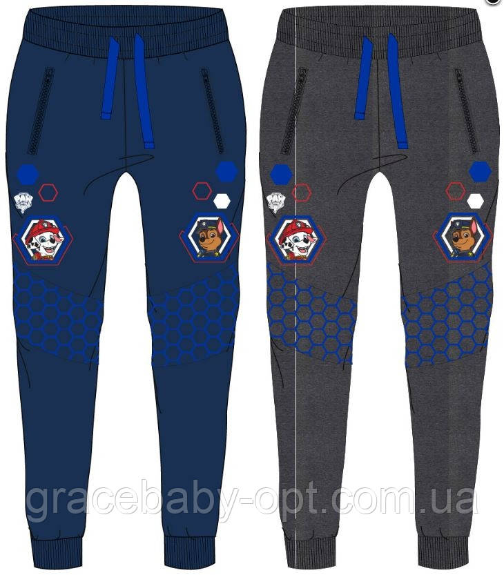 Спортивні штани для хлопчиків оптом, Disney, 98-128 см, № PAW5211034
