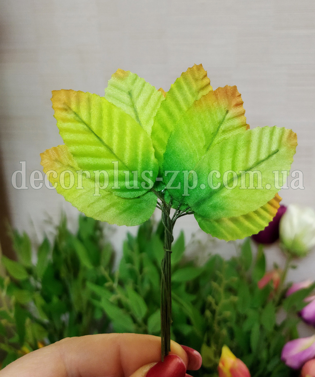 Листочки для декору 5 см зелений з облямівкою, фото 1