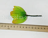 Листочки для декору 5 см зелений з облямівкою, фото 2