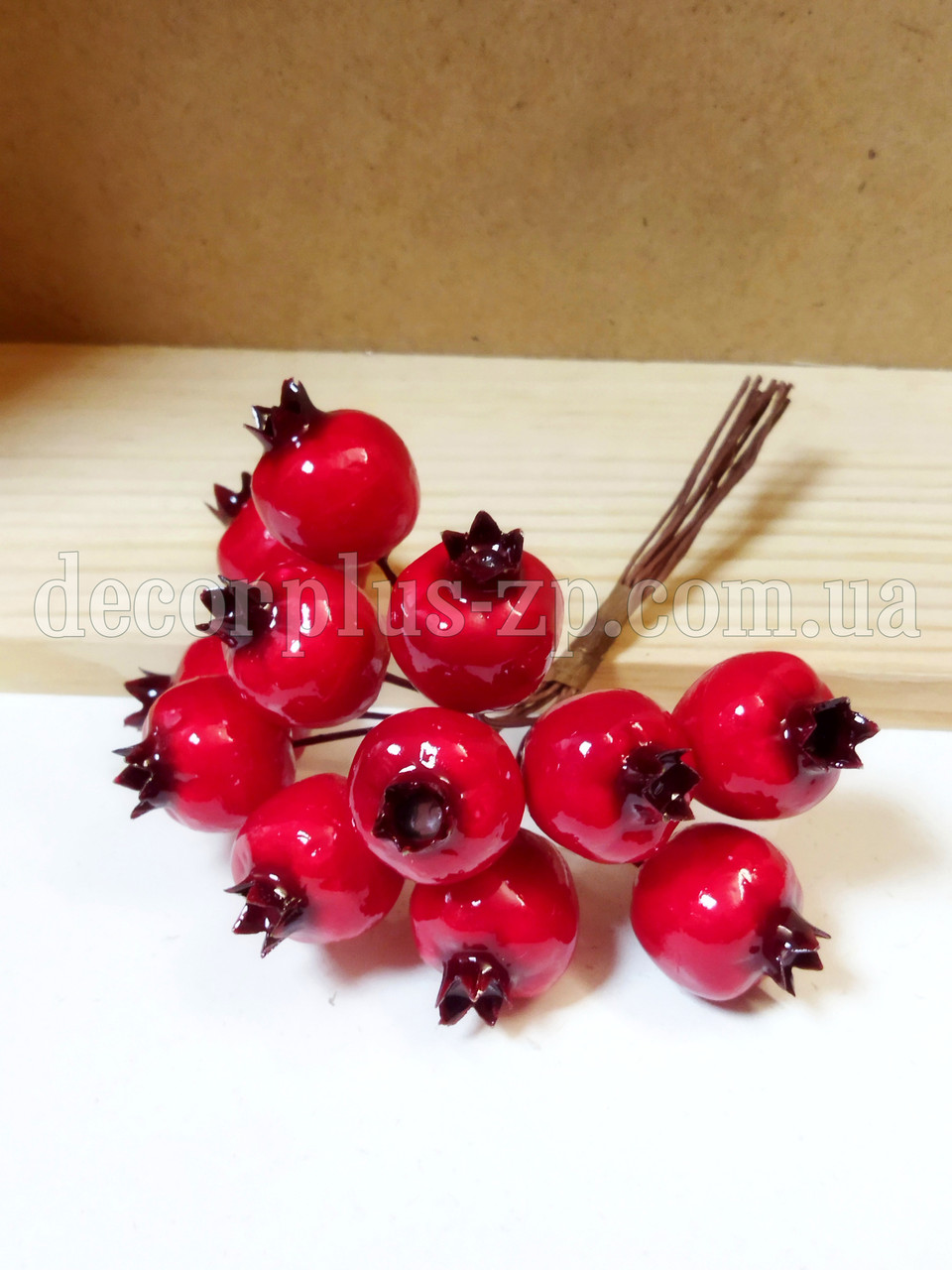 Шипшина червона (в пучку 12шт), фото 1