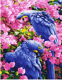Картина по номерам. Brushme "Птахи у квітах" GX25245, 40х50 см