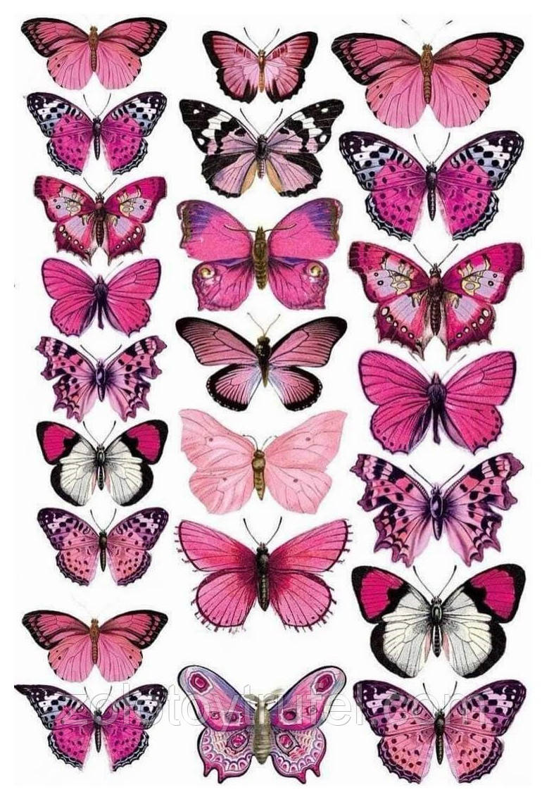 Метелики 5