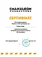 Ґрунт акриловий багатофункціональний Chamaleon 466 ALL IN ONE 2K PRIMER HS 4:1, 1 л + 250 мл Комплект Сірий, фото 3