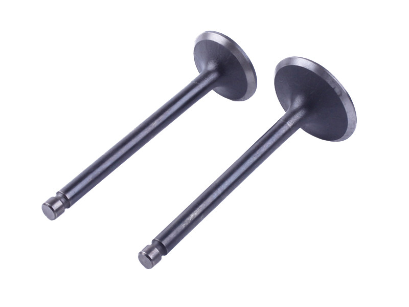 Клапани, к-т: 2 шт. - 186F УЦЕНКА, фото 1