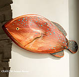 Деревянная рыба Групер, фото 3