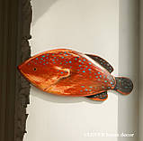 Деревянная рыба Групер, фото 2