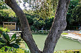 Армована озерна плівка Natural Pools, Eco green 7219 зелена, 1.5 мм, 1,65х25, фото 6