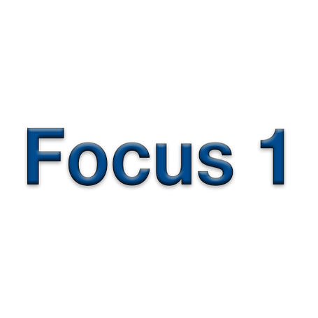 Focus 1