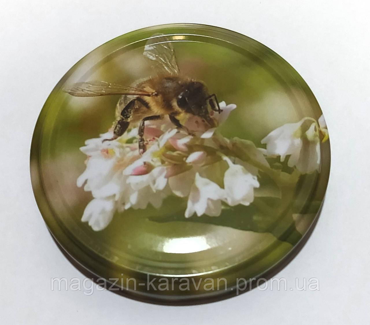 Кришка твіст офф діаметр 82 мм