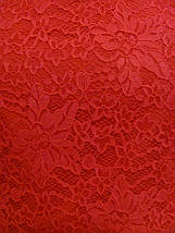 Річна блуза гіпюр червоного кольору норма, фото 2