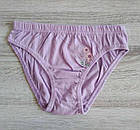 Труси для дівчинки бавовна Квіточки Польща. Трусики для дівчинки, фото 4