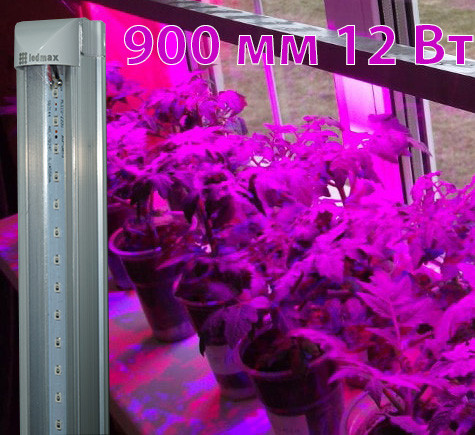 LED світлодіодний фітосвітильник, світильник для рослин синьо-червоний 900 мм T8-2835-0.9 М 12W