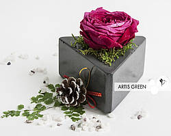 Подарунок на 8 березня: Стабілізована троянда в бетоні Blossom mini, S45