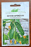 Огірок Артист F1 10шт / Bejo Zaden, фото 2