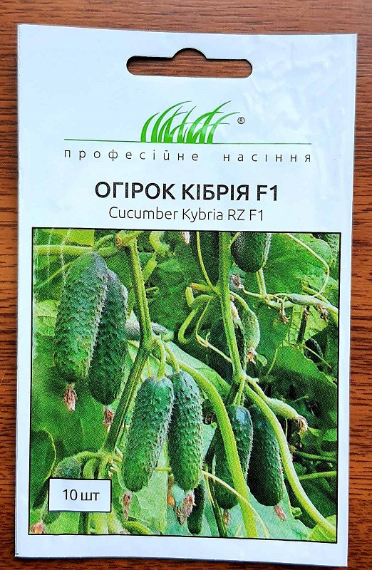 Огірок Кибрия F1 10шт / Rijk Zvaan