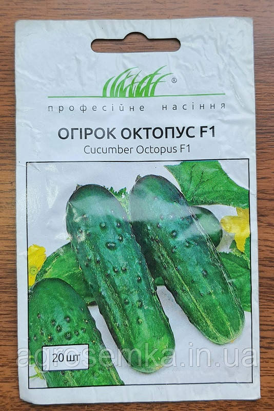 Огірок Октопус F1 20шт / Syngenta