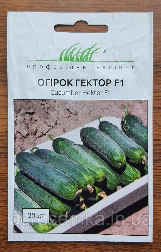 Огірок Гектор F1 20шт / Nunhems Zaden