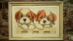 Картина Алмазна вишивка "Пухнастики" квадратні камені