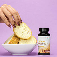 Microbiome Wheat Rescue / Ензими захист від глютену 60 капс BX188, фото 2