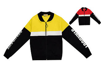 Кофта спортивна з довгим рукавом, на блискавці, двонитка, бавовняна, Fagis