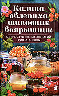 Калина, облепиха, шиповник, боярышник, от простудных и вирусных заболеваний, гриппа, ангины