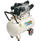 Безмасляний компресор Dolphin DZW2500AF100, фото 2