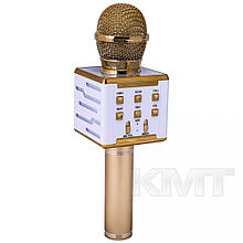 Караоке - мікрофон DS-868 — Gold