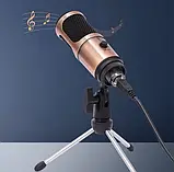 Мікрофон Ytom TikTok DM-18 USB конденсаторний — Срібло, фото 9