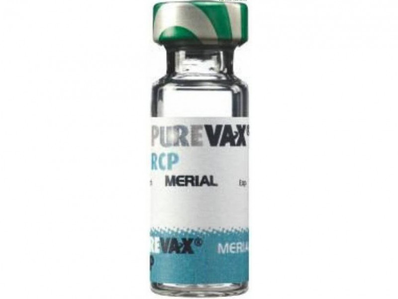 Пюрвакс вакцина для кішок RCP (X10X)