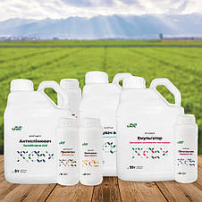 Фарба для зрізаних квітів оранжева PreFlower Color 1 кг, фото 3