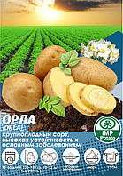 Насіннева картопля "ОРЛА" 1-а репродукція ТМ" IMP Potato" (Голандія) 5 кг.