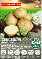 Насіннева картопля "СЕНСЕЙШН" (1-а репродукція) ТМ "IMP Potato" (Голландия) 5 кг.