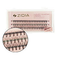 Zidia Cluster lashes 10D C 0,10 Mix (3 стрічки, розмір 8, 10, 12 mm)