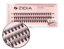 Zidia Cluster lashes 20D KIM C 0,10 MIX S (3 стрічки, розмір 8, 9, 10 mm)