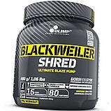 Предтренировочний комплекс Olimp Blackweiler Shred 480 г, фото 3