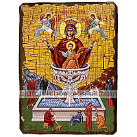 Живоносный Источник Икона Пресвятой Богородицы ,икона на дереве 210х280 мм
