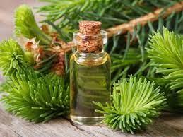 Екстракт евкаліпту 100 мл