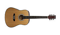 PARKSONS JB-4111 NAT Акустическая гитара