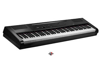 ARTESIA PA88H Black Цифрове піаніно