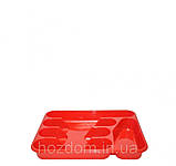 Лоток для виделок і ложок у стіл, фото 2