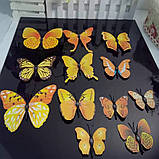 3D метелики для декорації жовті., фото 3