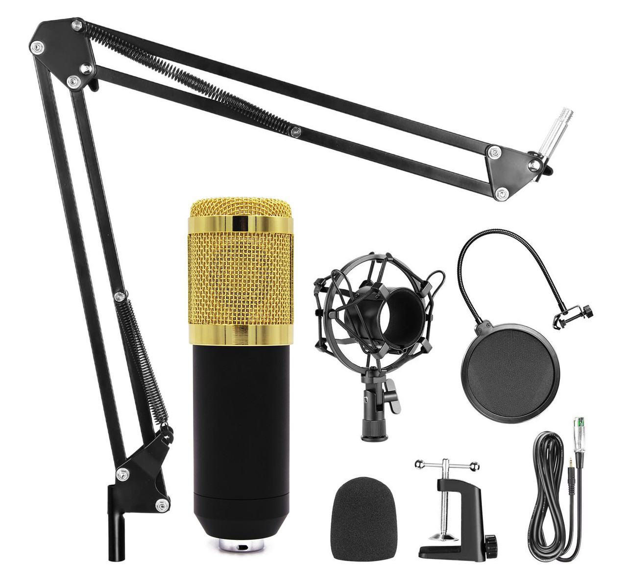 Студійний мікрофон для блогера M 800 V8 BT, мікрофон для запису | блогерский микрофон для записи подкастов